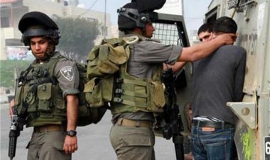 الاحتلال يعتقل طالبا جامعيا وسيدة وابنة شقيقها في ضاحية شويكة شمال طولكرم