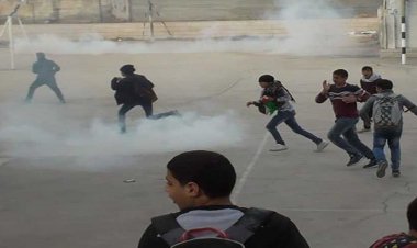 الاحتلال يعتدي على المواطنين في جنين