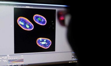 دراسة: الطفرات الجينية قد تكون مفتاحا لإبطاء الشيخوخة