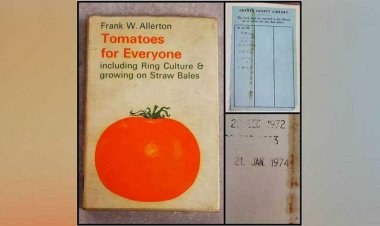 عودة كتاب بعد 49 عاماً من الاستعارة