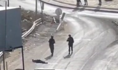 جنود الاحتلال يعدمون مواطنا قرب مخيم العروب