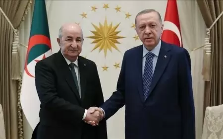 الجزائر وتركيا تشددان على أهمية قيام دولة فلسطينية لحل الصراع في الشرق الأوسط