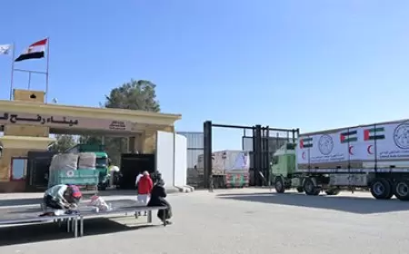 بدء عملية إدخال المستشفى الميداني الإماراتي إلى جنوب قطاع غزة