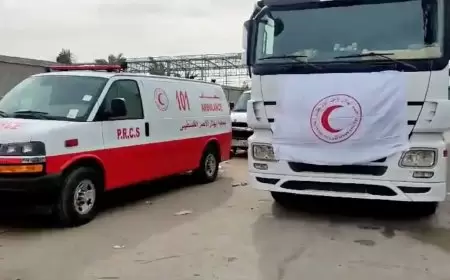 الأمم المتحدة تعلن وصول 61 شاحنة مساعدات إلى شمال غزة