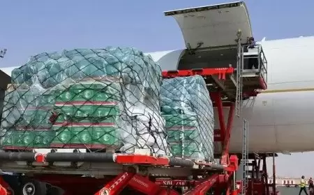 السعوديون يتبرعون بأكثر من 530 مليون ريال لحملة إغاثة غزة