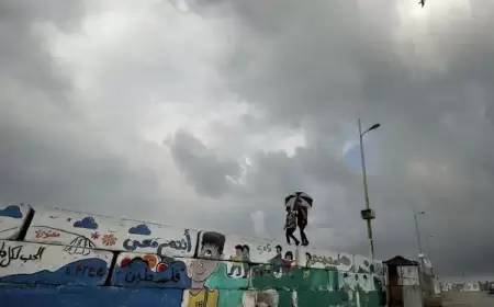 الطقس: انخفاض ملموس على درجات الحرارة