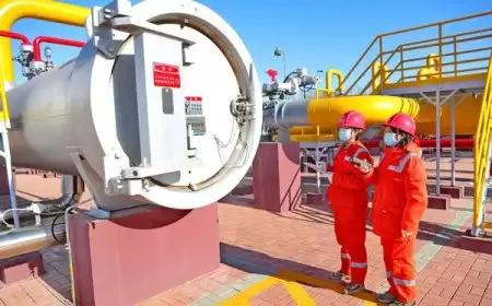 الصين تستخدم الروبوتات لتعزيز فحص خطوط إمدادات الطاقة خلال ذروة الشتاء