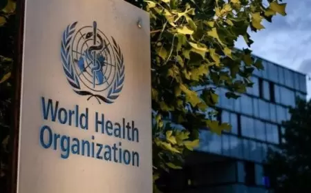 الصحة العالمية تحذر من خطر يهدد سكان غزة أكثر من القصف