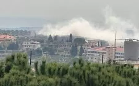 إسرائيل تستهدف أطراف إحدى البلدات جنوب لبنان بقذيفة مدفعية