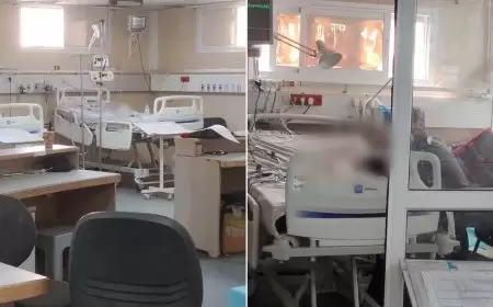 جثث أطفال رضع متحللة بمستشفى في غزة تصدم العالم