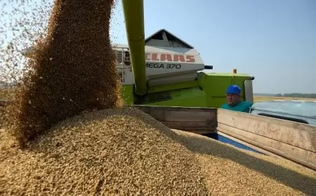 روسيا تعود إلى قائمة أكبر خمسة موردي حبوب إلى الاتحاد الأوروبي