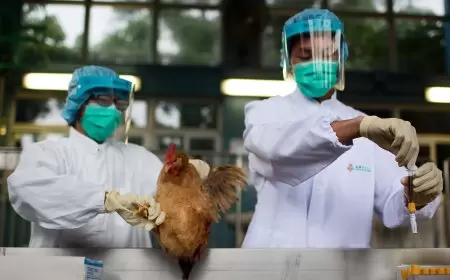 دولة أوروبية تبلغ عن تفشي إنفلونزا الطيور "شديدة العدوى"!