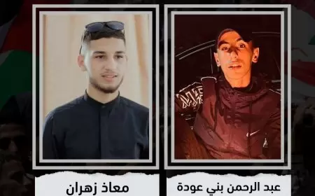 شهيدان برصاص قوات الاحتلال في الفارعة وطمون