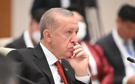 أردوغان: تركيا تدافع عن القيم الغربية في فلسطين