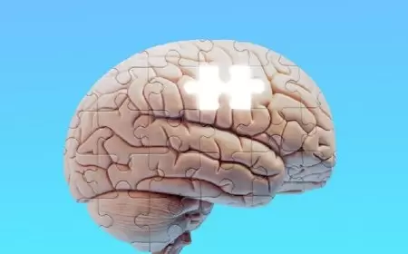 "الخرف المبكر" دافع لتحريك دعاوى قضائية في الدوري الإنجليزي