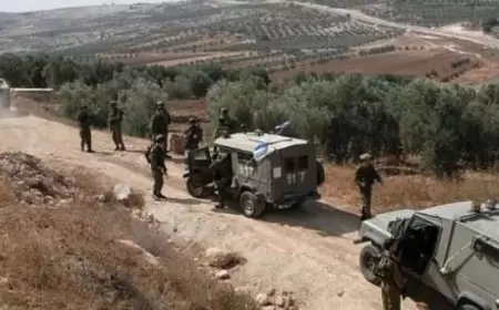 الاحتلال يستولي على 501 دونم من أراضي بلدة جبع