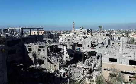 الكشف عن رؤية فرنسية سعودية لإنهاء الحرب في غزة