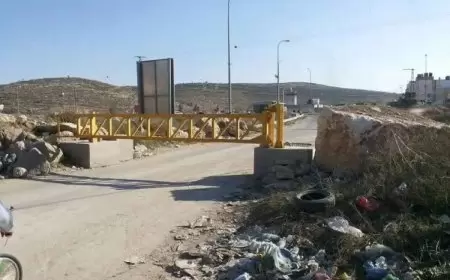 الاحتلال يغلق مكب نفايات ويدمر شارعا وشبكة كهرباء في بيتا جنوب نابلس