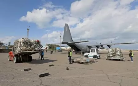 منظمة الصحة العالمية تدعو إلى تقديم مساعدات إنسانية عاجلة إلى غزة