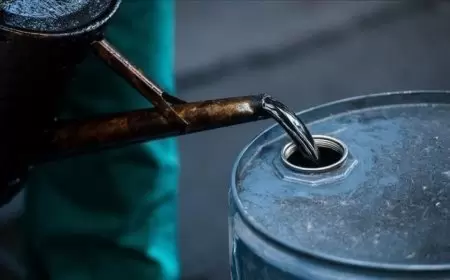 أسعار النفط تواصل ارتفاعها