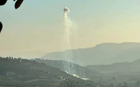 واشنطن بوست: إسرائيل استخدمت ذخائر الفوسفور الأبيض الامريكية بلبنان