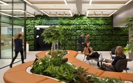 دراسة: العيش في المساحات الخضراء يبطئ شيخوخة خلايا الجسم