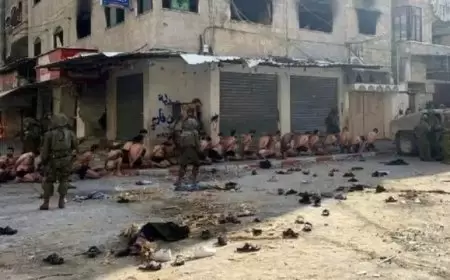 الأمم المتحدة: الجيش الإسرائيلي اعتقل مئات الفلسطينيين من قطاع غزة