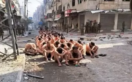 المرصد الأورومتوسطي: ندعو لتشكيل وفد دولي لزيارة السجون الإسرائيلية