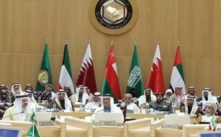 "التعاون الخليجي" يطالب الناتو بالضغط على إسرائيل لوقف حرب غزة