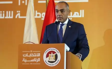 الهيئة الوطنية للانتخابات تتسلم نتائج المحافظات فى الانتخابات الرئاسية اليوم