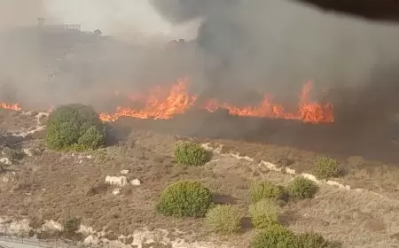 حزب الله يستهدف مواقع إسرائيلية والاحتلال يهاجم خلايا وبنى تحتية بجنوب لبنان