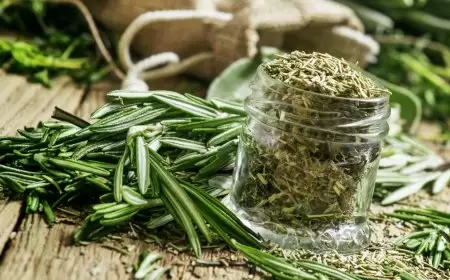 زيت عطري يمنح شعرك 6 فوائد سحرية.. جربيه واكتشفي بنفسك