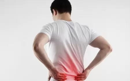 بشرى لمن يعانون آلام أسفل الظهر.. تحديد الخلايا المسببة