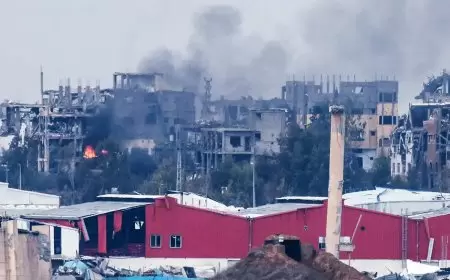 في اليوم الـ71 للعدوان: عشرات الشهداء والجرحى في قصف الاحتلال المتواصل على قطاع غزة