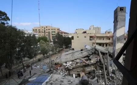 استطلاع: أكثر من نصف الشباب الأمريكيين يؤيدون حماس ويرون الحل في نهاية إسرائيل وتسليمها للفلسطينيين