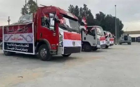 الهلال الأحمر المصري: دخول 40 شاحنة مساعدات إلى غزة من معبر كرم أبو سالم