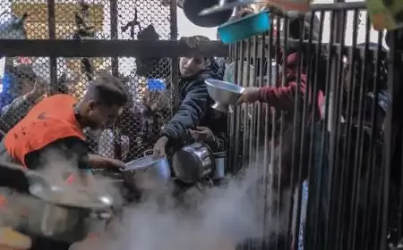 71 %من سكان غزة يعانون من مستويات حادة من الجوع