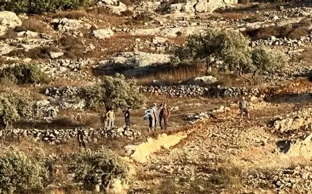 مستوطنون يشقون طريقا استيطانيا للاستيلاء على أراضي غرب رام الله