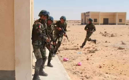 الجيش المصري يعلن حصوله على سلاح "حاسم"