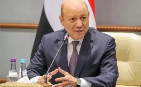 العليمي يشيد بجهود السعودية لإحياء العملية السياسية في اليمن