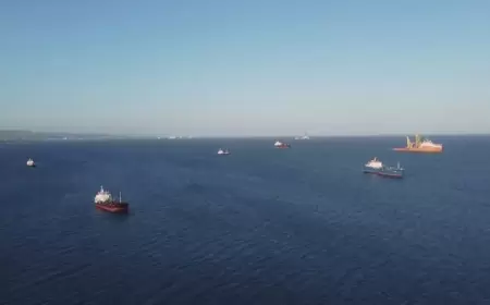 40 % انخفاضا في حركة الناقلات عبر مضيق باب المندب في البحر الأحمر