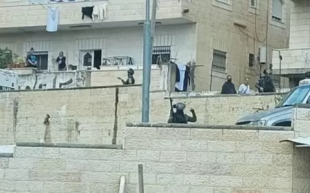 طواقم بلدية الاحتلال تقتحم العيسوية