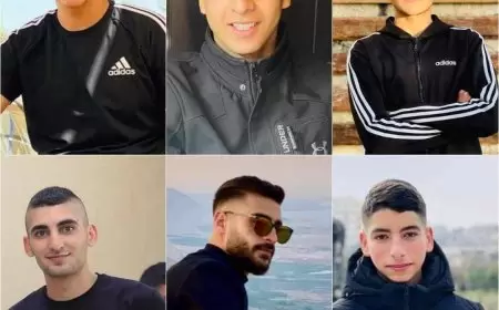 6 شهداء بعد قصف طائرة مسيرة لشبان في مخيم نور شمس