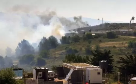 حزب الله يعلن استهداف موقع إسرائيلي في مزارع شبعا