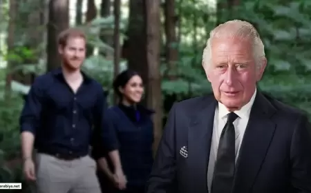 لقاء قريب قد يجمع الملك تشارلز بالأمير هاري وميغان ماركل