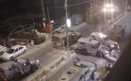 قوات الاحتلال تعتقل سيدة من طولكرم وشابا من عزبة جراد