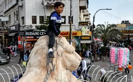 14 مليونا و630 ألف فلسطيني في العالم مع نهاية 2023