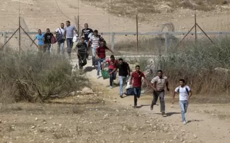 اسرائيل تعد خطة لاستبدال العمال الفلسطينيين خلال 2024