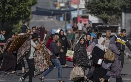 مفوضية شؤون اللاجئين: أكثر من 114 مليون نازح بالعالم خلال 2023