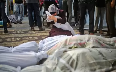 حصيلة الشهداء في غزة تتجاوز 22 ألفا